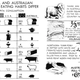 A chart showing the average food consumption in the United States versus Australia in 1942 (left) and illustrations with fun facts about Australia, including compulsory voting (right)